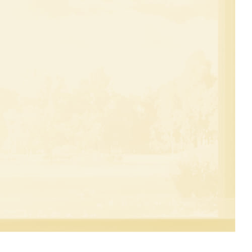 Beige 0.40.15